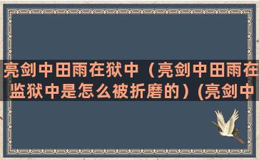 亮剑中田雨在狱中（亮剑中田雨在监狱中是怎么被折磨的）(亮剑中田雨在狱中被辱是第几集)