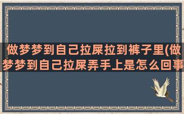 做梦梦到自己拉屎拉到裤子里(做梦梦到自己拉屎弄手上是怎么回事)