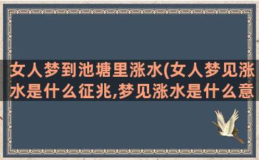 女人梦到池塘里涨水(女人梦见涨水是什么征兆,梦见涨水是什么意思)