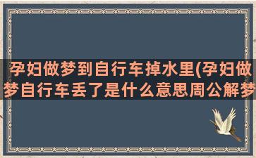 孕妇做梦到自行车掉水里(孕妇做梦自行车丢了是什么意思周公解梦)