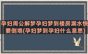 孕妇周公解梦孕妇梦到楼房漏水快要倒塌(孕妇梦到孕妇什么意思)