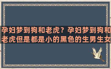 孕妇梦到狗和老虎？孕妇梦到狗和老虎但是都是小的黑色的生男生女