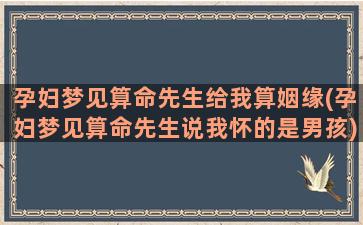 孕妇梦见算命先生给我算姻缘(孕妇梦见算命先生说我怀的是男孩)