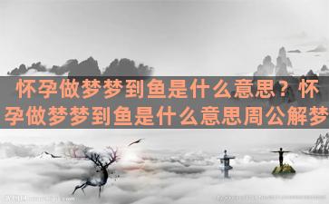 怀孕做梦梦到鱼是什么意思？怀孕做梦梦到鱼是什么意思周公解梦