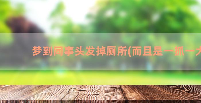 梦到同事头发掉厕所(而且是一抓一大把)