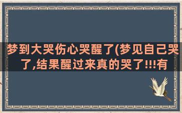 梦到大哭伤心哭醒了(梦见自己哭了,结果醒过来真的哭了!!!有什么寓意吗)