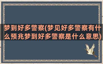 梦到好多警察(梦见好多警察有什么预兆梦到好多警察是什么意思)