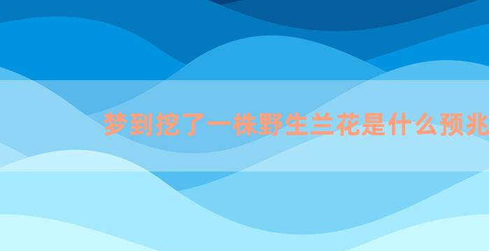 梦到挖了一株野生兰花是什么预兆