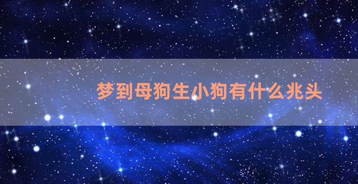 梦到母狗生小狗有什么兆头