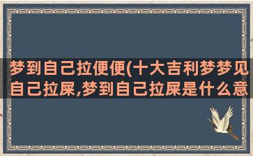 梦到自己拉便便(十大吉利梦梦见自己拉屎,梦到自己拉屎是什么意思)