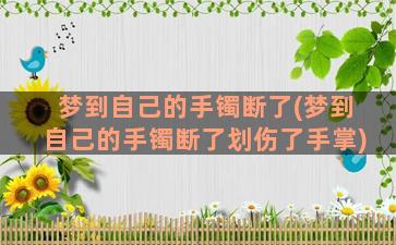 梦到自己的手镯断了(梦到自己的手镯断了划伤了手掌)