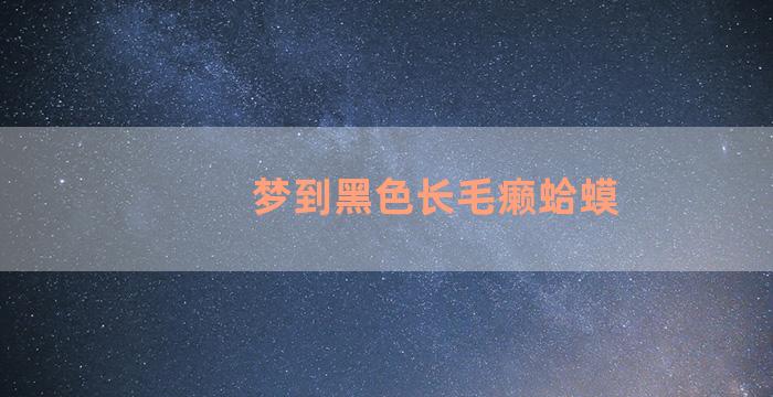 梦到黑色长毛癞蛤蟆