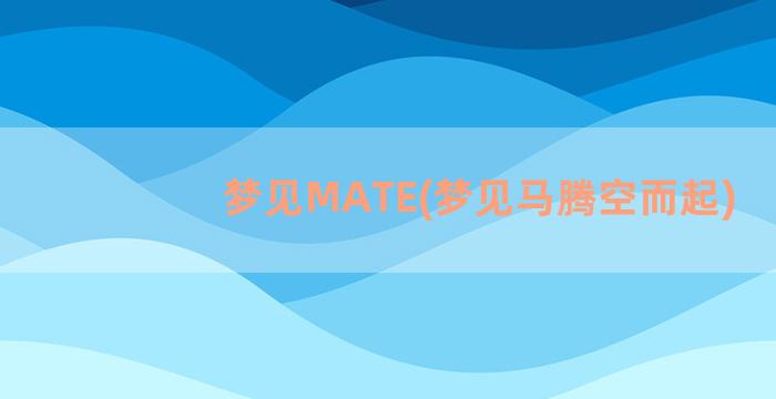 梦见MATE(梦见马腾空而起)