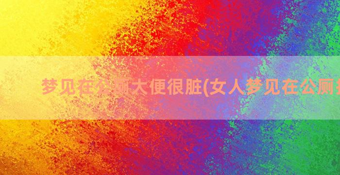 梦见在公厕大便很脏(女人梦见在公厕拉大便)