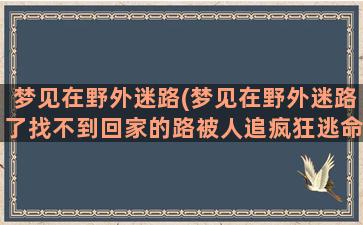 梦见在野外迷路(梦见在野外迷路了找不到回家的路被人追疯狂逃命)