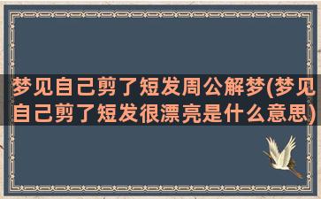 梦见自己剪了短发周公解梦(梦见自己剪了短发很漂亮是什么意思)