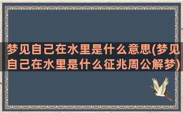 梦见自己在水里是什么意思(梦见自己在水里是什么征兆周公解梦)