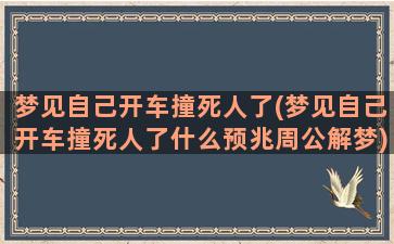 梦见自己开车撞死人了(梦见自己开车撞死人了什么预兆周公解梦)