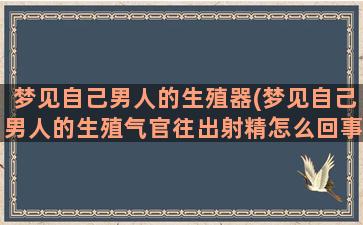 梦见自己男人的生殖器(梦见自己男人的生殖气官往出射精怎么回事)