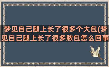 梦见自己腿上长了很多个大包(梦见自己腿上长了很多脓包怎么回事)