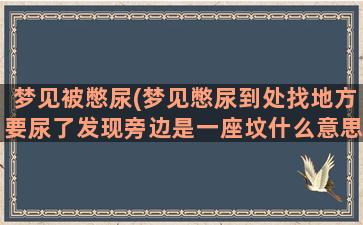 梦见被憋尿(梦见憋尿到处找地方要尿了发现旁边是一座坟什么意思)