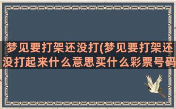 梦见要打架还没打(梦见要打架还没打起来什么意思买什么彩票号码)