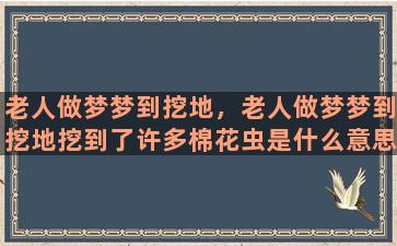 老人做梦梦到挖地，老人做梦梦到挖地挖到了许多棉花虫是什么意思？