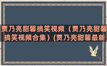 贾乃亮甜馨搞笑视频（贾乃亮甜馨搞笑视频合集）(贾乃亮甜馨最新消息)